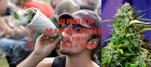 метадон Богданович