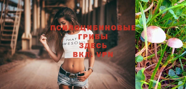 прущая мука Богородицк