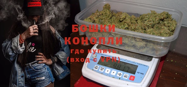 метадон Богданович