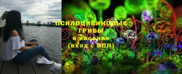 прущий лед Богородск