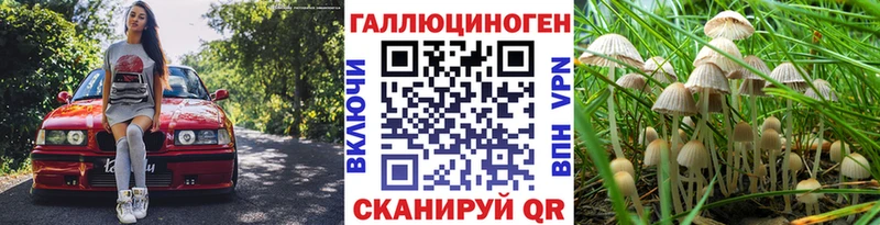 Псилоцибиновые грибы Magic Shrooms Борисоглебск