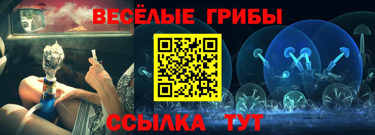 Галлюциногенные грибы GOLDEN TEACHER Борисоглебск